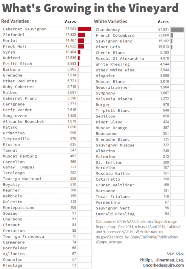 What's Growing in the Vineyard